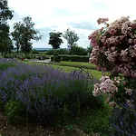 Logis Hotel- Restaurant La Haie Des Vignes Seminaires Et Evenementiel