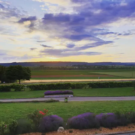 Hotel Hotel- Restaurant La Haie Des Vignes Allain