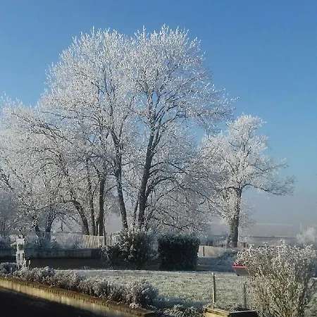 Hotel Hotel- Restaurant La Haie Des Vignes 3*