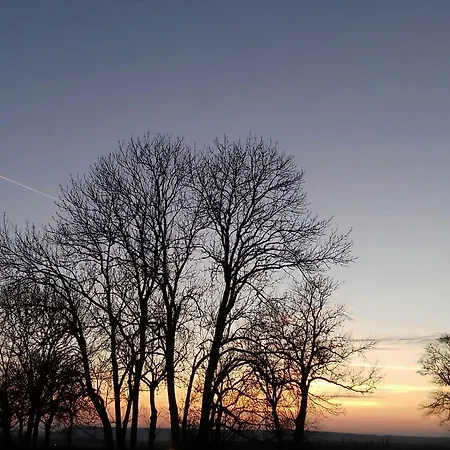 Hotel Hotel- Restaurant La Haie Des Vignes Allain