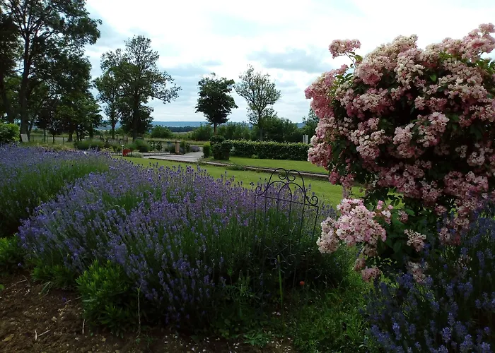 Logis Hotel- Restaurant La Haie Des Vignes Seminaires Et Evenementiel