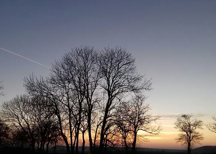 Szálloda Logis Hotel- Restaurant La Haie Des Vignes Seminaires Et Evenementiel Allain